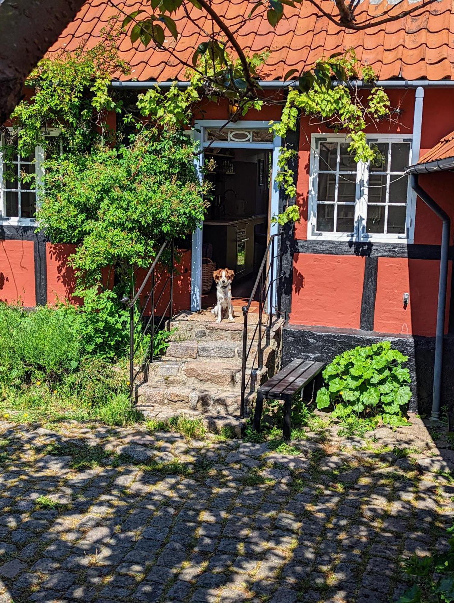 Pensionat Naesgaarden Allinge-Sandvig Exteriör bild